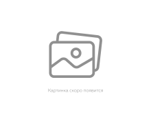 Верхній одяг (1221)